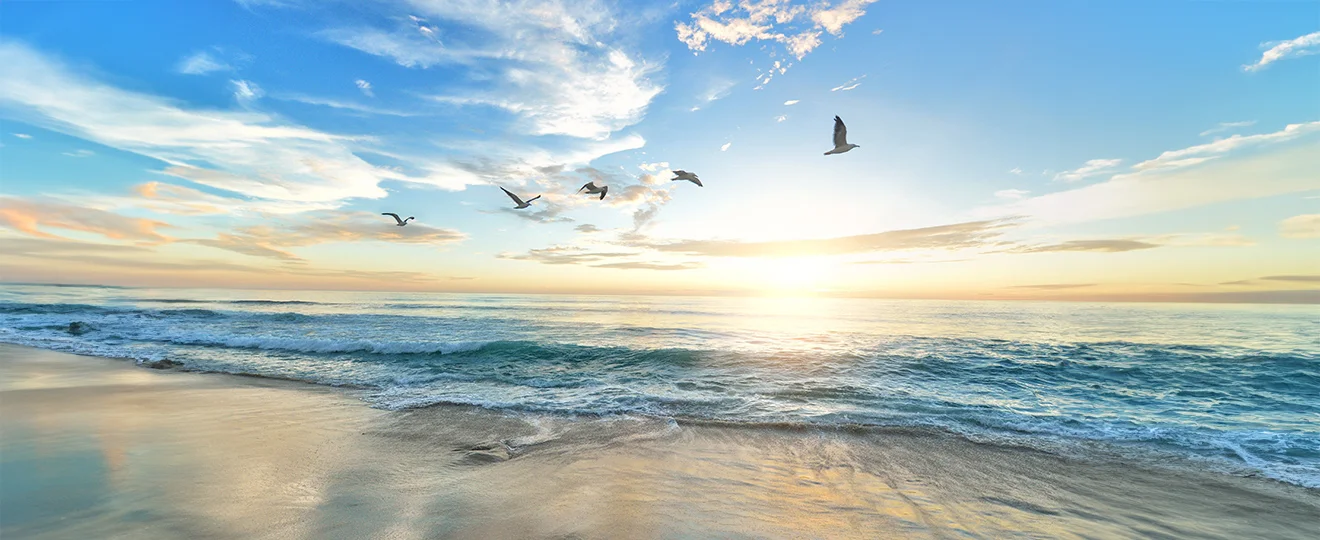 Bild Begleitende Kinesiologie